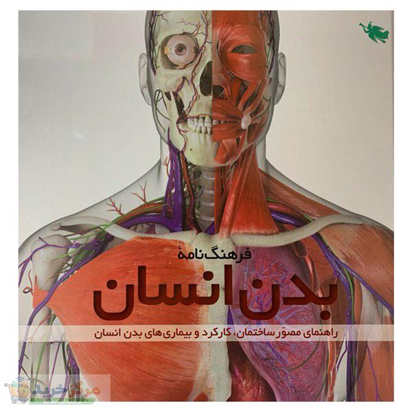 کتاب فرهنگ‌نامه بدن انسان اثر استیو پارکر نشر طلایی