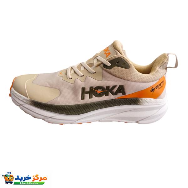 کفش مخصوص دویدن مردانه هوکا مدل Gore-TEX ATR 7