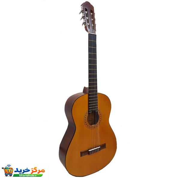 گیتار مدل C40